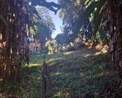Lotes de terreno - Santo Aleixo - 